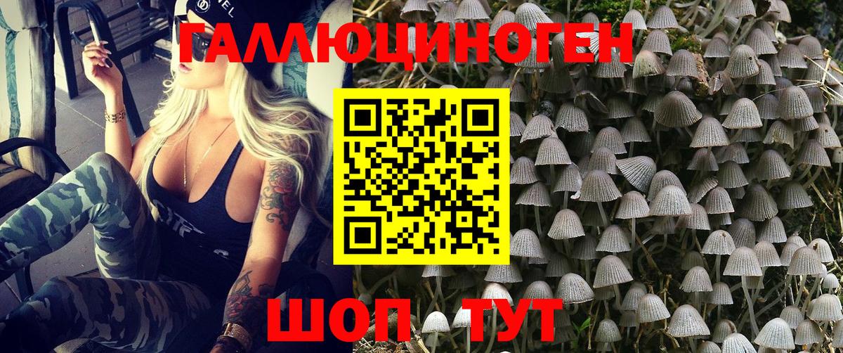 Галлюциногенные грибы MAGIC MUSHROOMS Александров