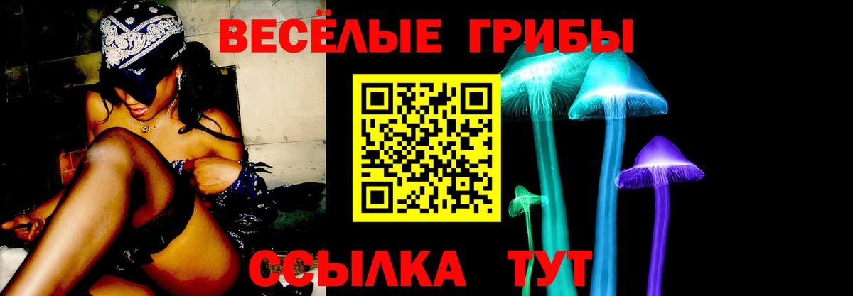 Александров  Галлюциногенные грибы MAGIC MUSHROOMS  Вход с VPN 